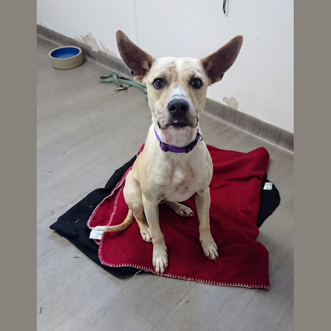 Photo of Maggie