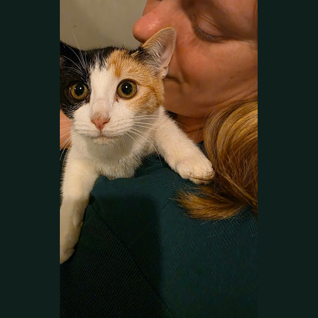 Photo of Delores 