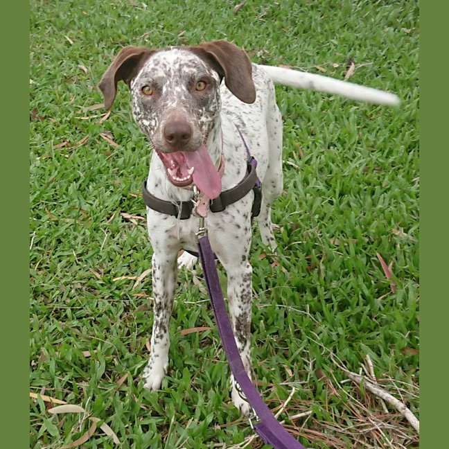 Photo of Pepper