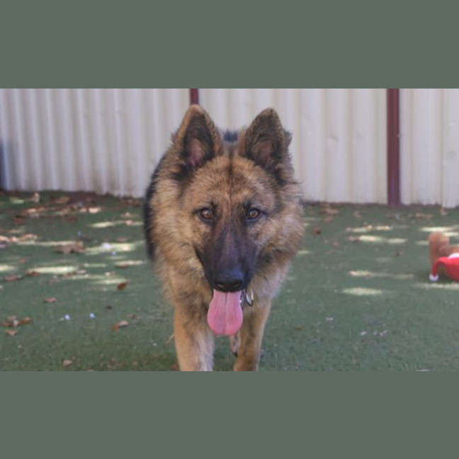 Photo of Delilah