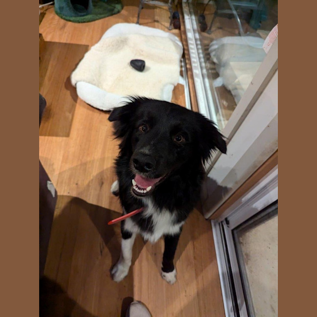 Photo of Finn Quinell