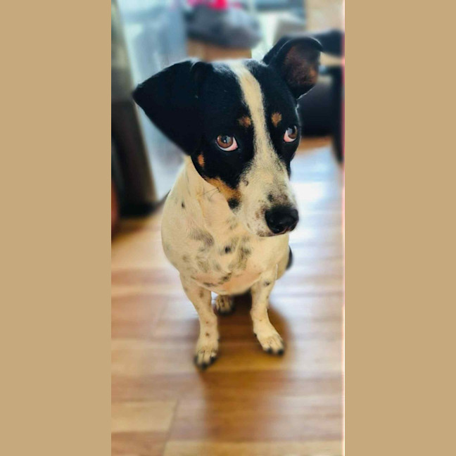 Photo of Hallie