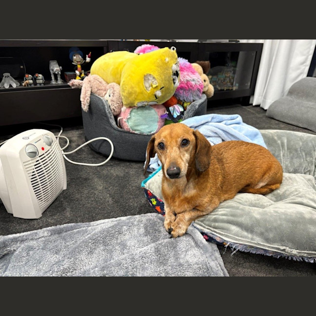 Photo of Hans Russelton