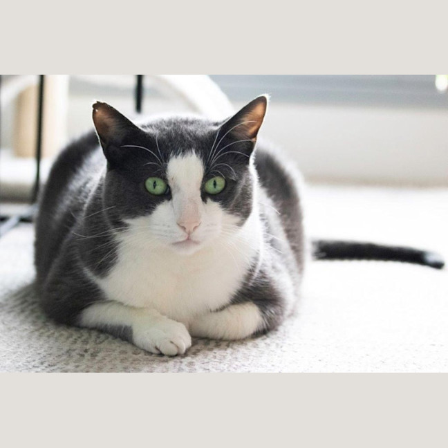 Photo of Billy Ebsworth