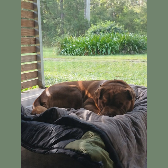 Photo of Tyson