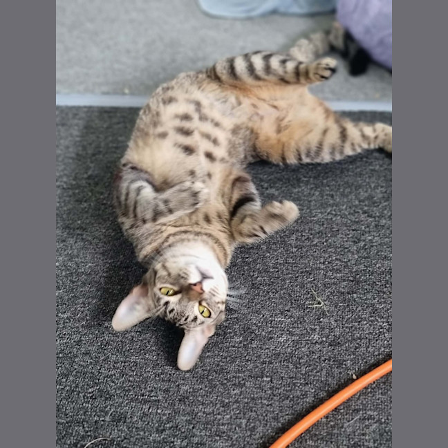 Photo of Nora