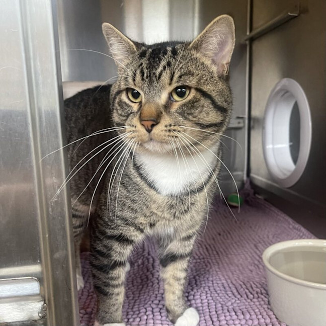 Photo of Nigel