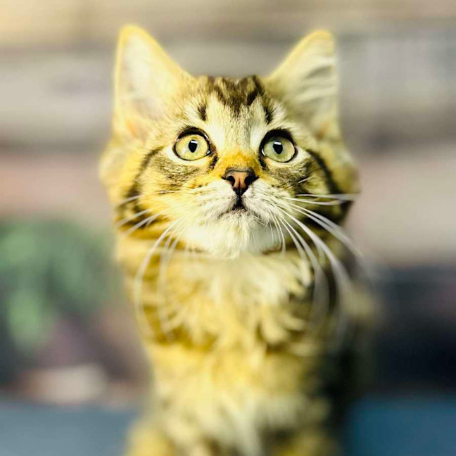 Photo of Sky   Located In Wallan