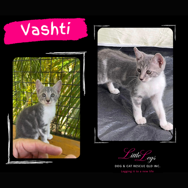 Photo of Vashti