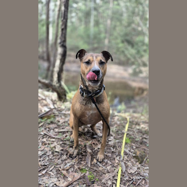 Photo of Molly