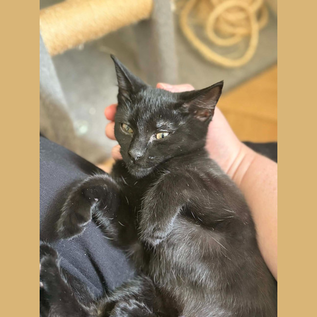 Photo of Zuzu