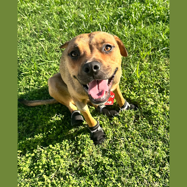 Photo of Mia