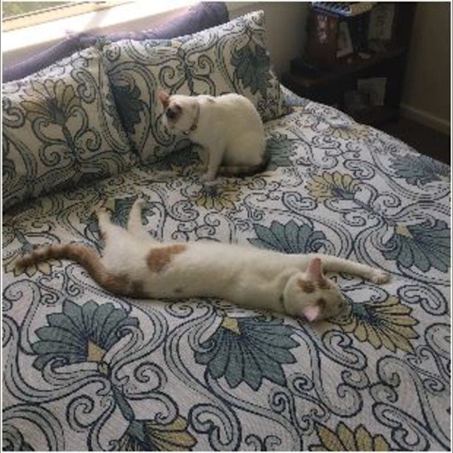 Photo of Mickey & Minnie