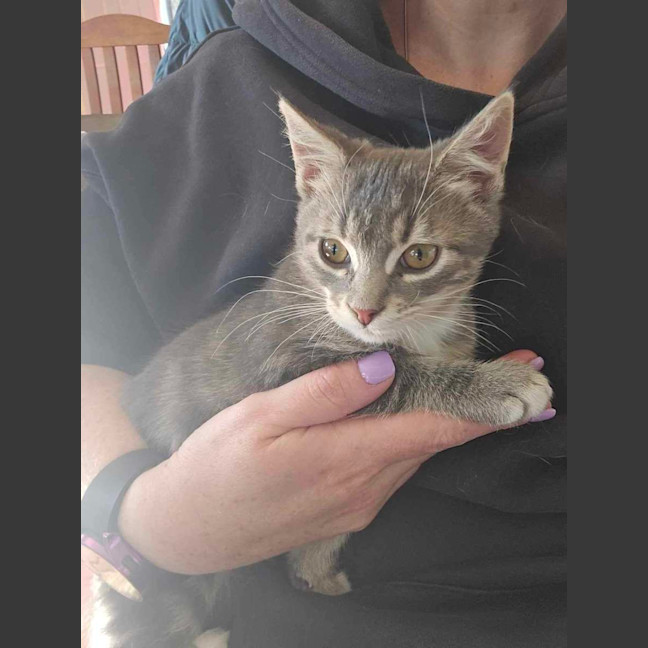 Photo of Timmy