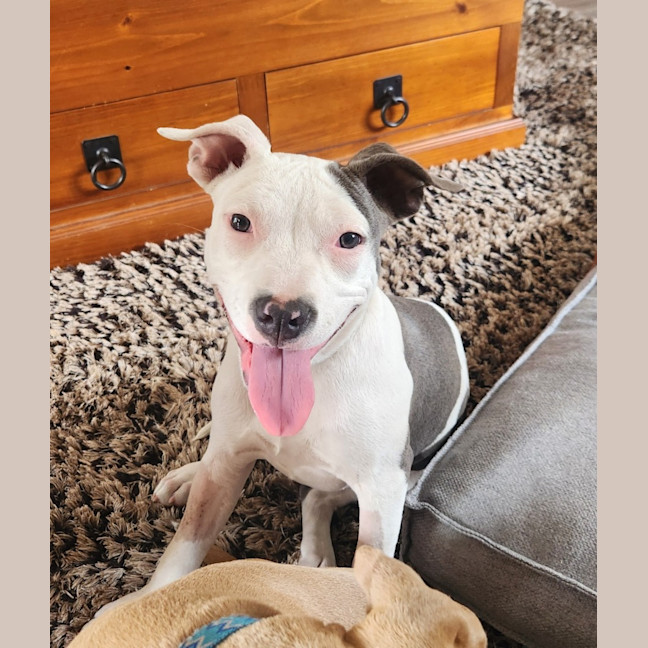 Photo of Solar (67646)