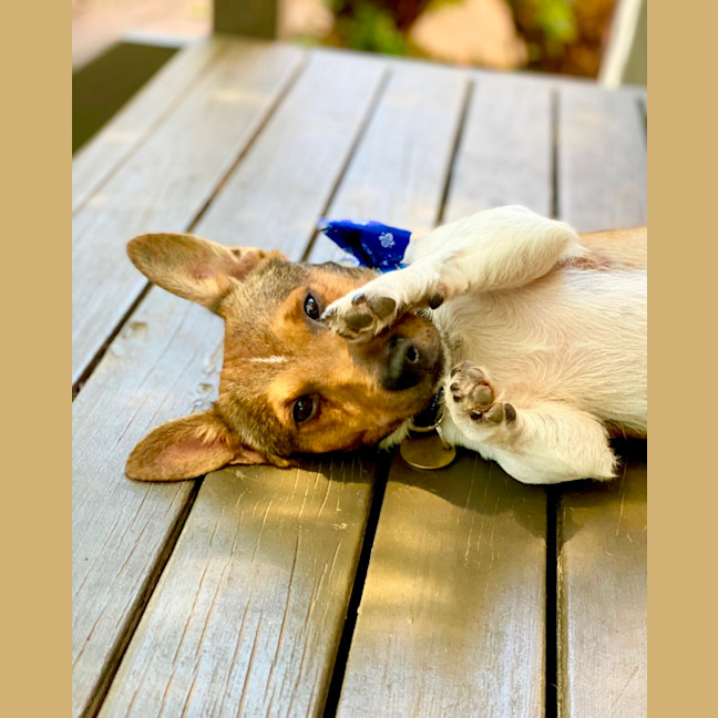 Photo of Kevin Arnold