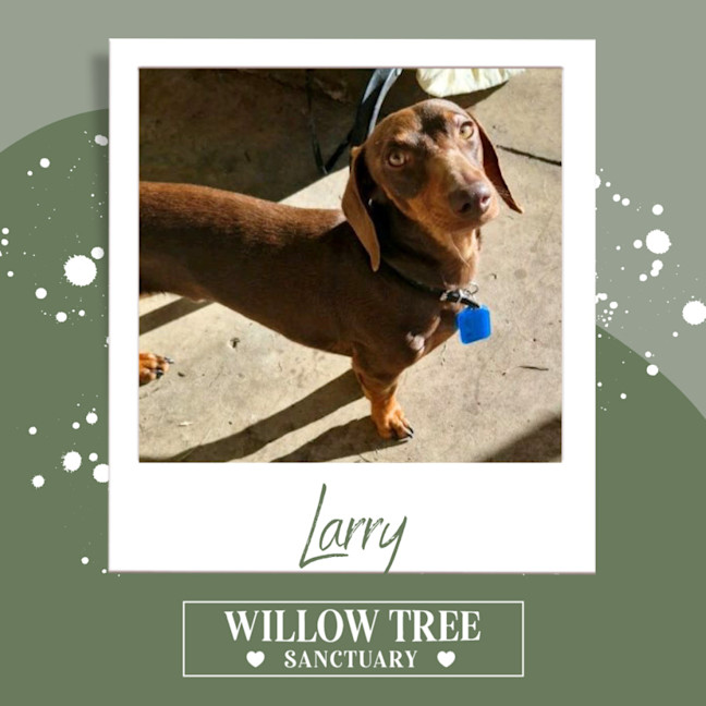 Photo of Larry