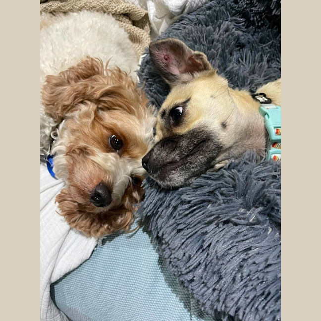 Photo of Coco