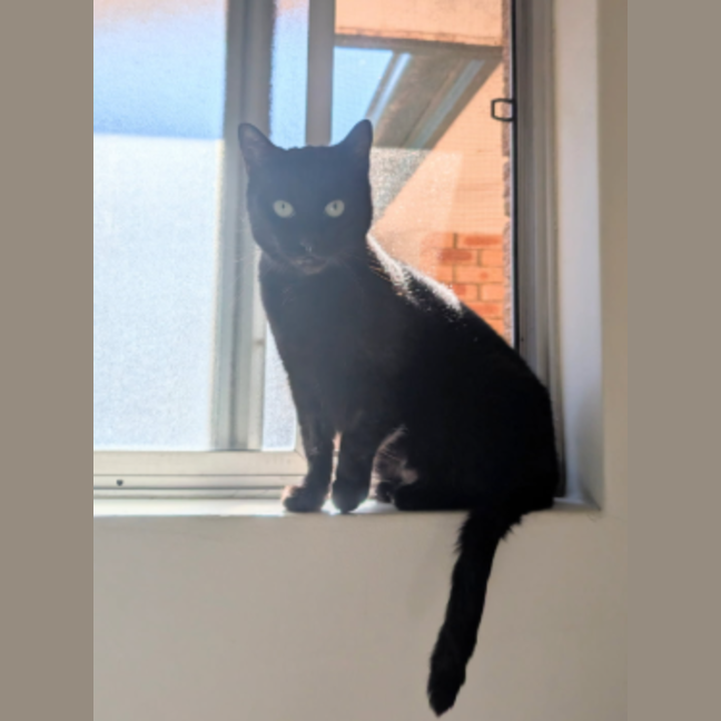 Photo of Lucy