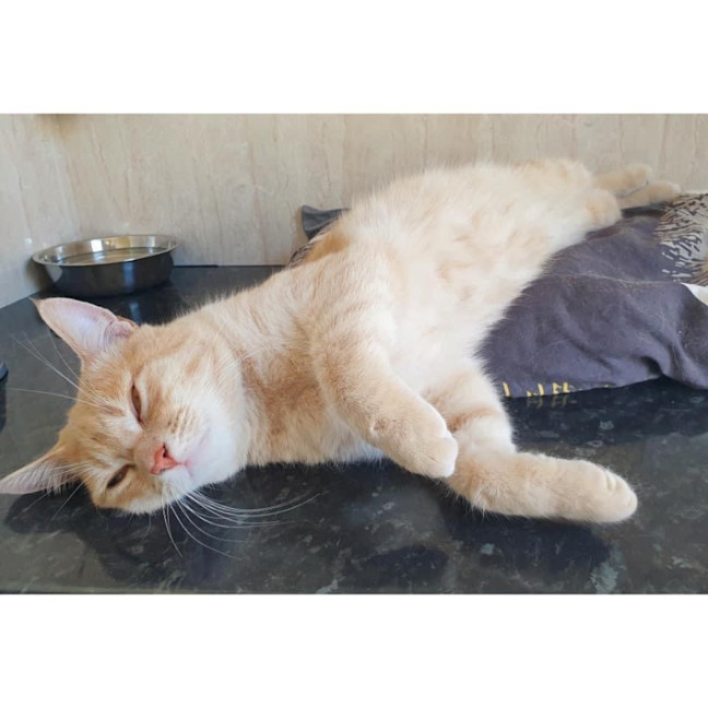 Photo of 11053   Tim