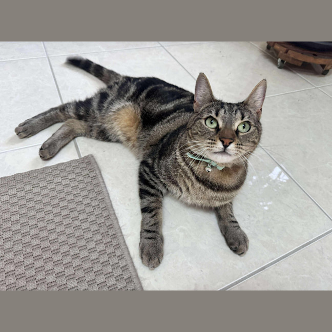 Photo of Hugo 