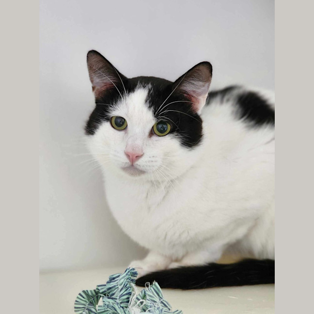 Photo of 🧃 Ian 5627 🧃