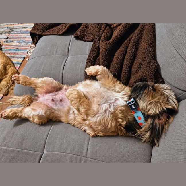 Photo of Rusty & Coco