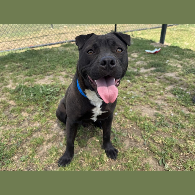 Photo of Fernando Imp 2792