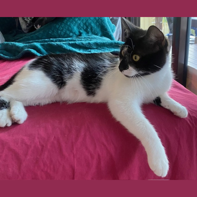 Photo of Georgie Girl