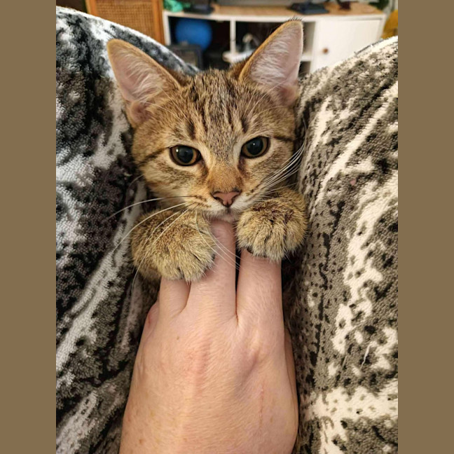 Photo of April