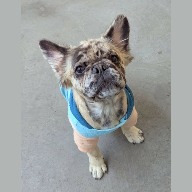 Photo of Teddy