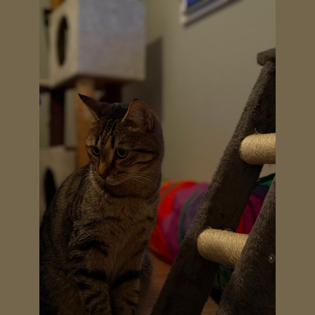 Photo of Charlie 