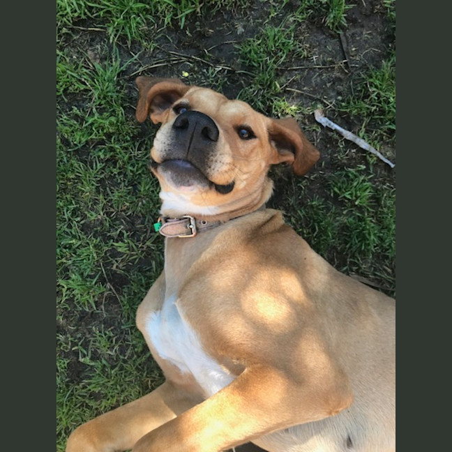 Photo of Nala