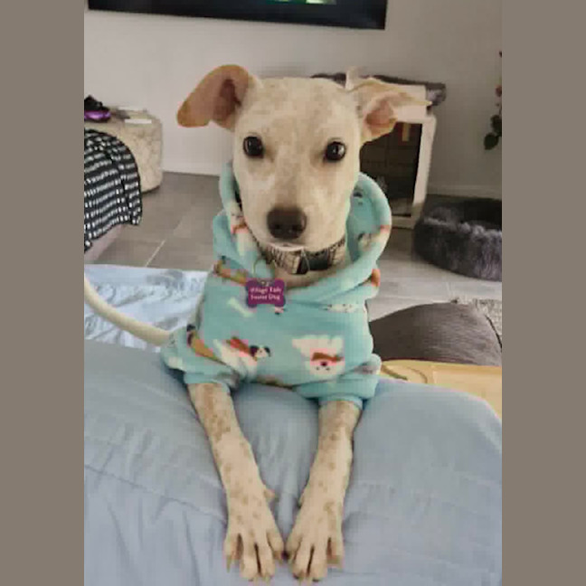 Photo of Lily