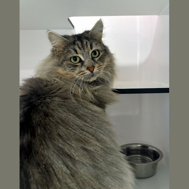 Photo of Elsa Sua012849