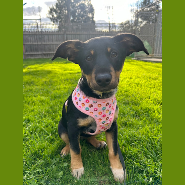 Photo of Narla