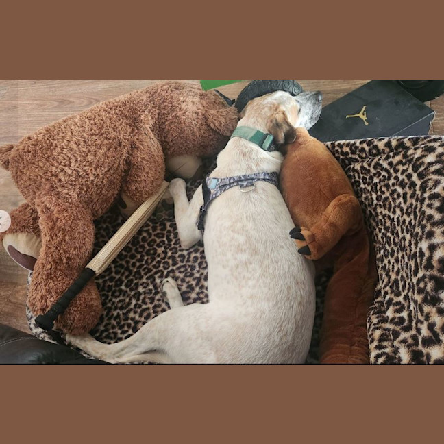 Photo of Ricky Bobby