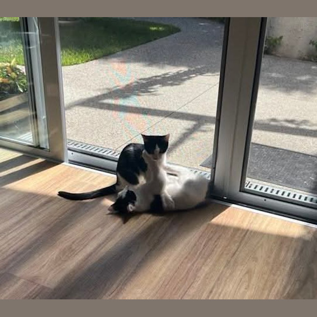 Photo of Acorn & Macadamia 