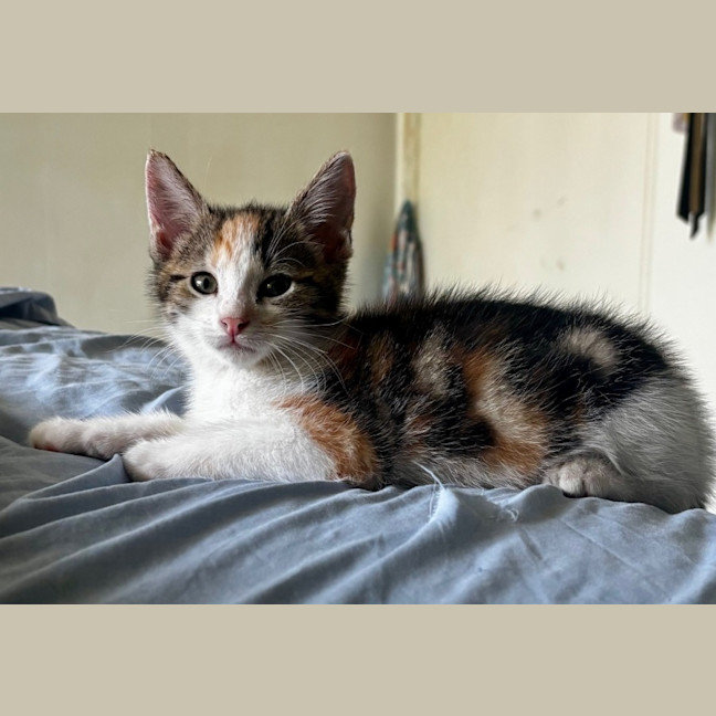 Photo of Mia