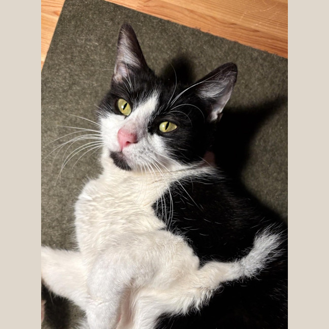Photo of Delilah