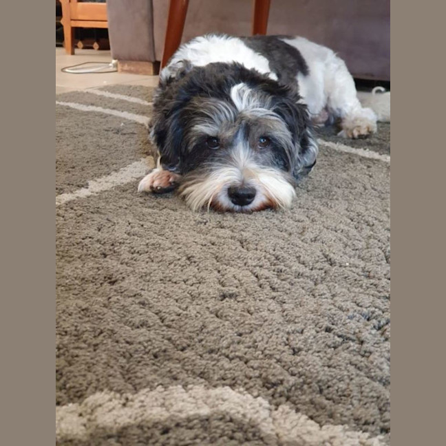 Photo of Mack Jablonski