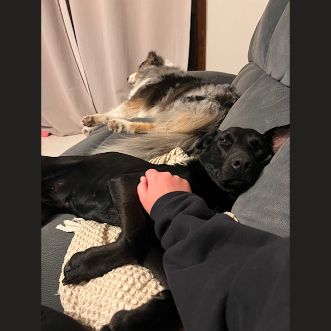 Photo of Karma