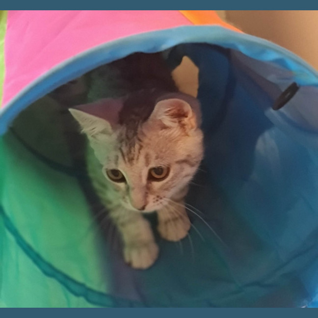 Photo of Osha & Rosemary