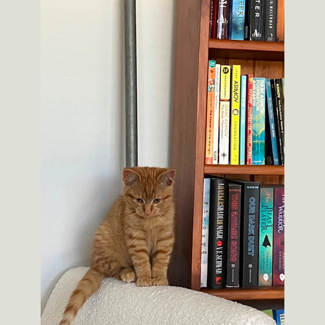 Photo of Arlo