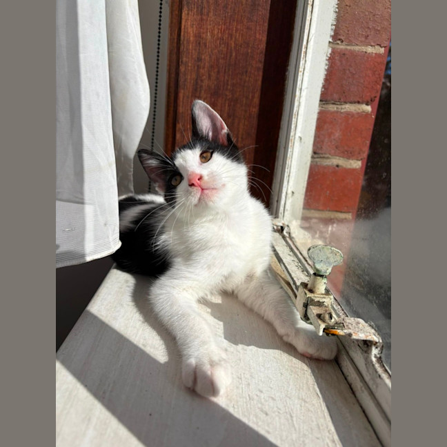 Photo of Benny