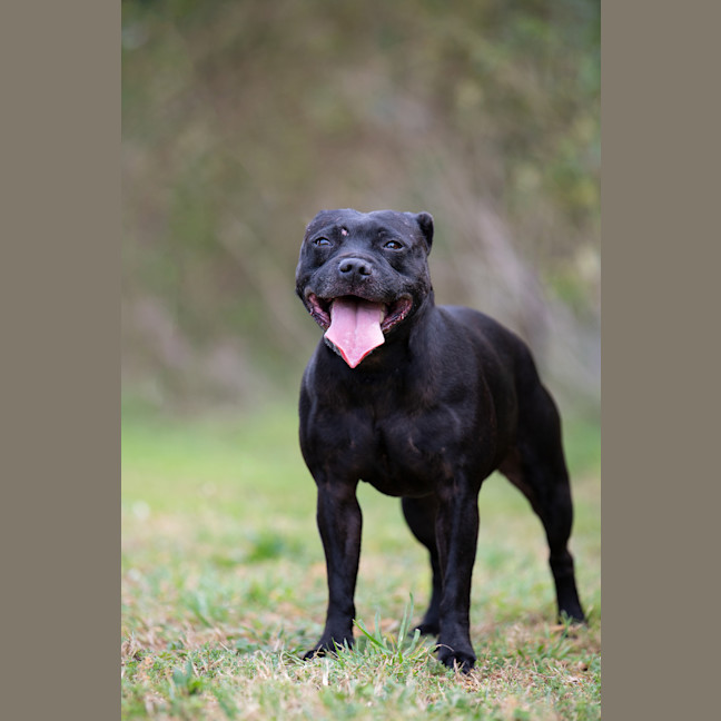 Photo of Katara