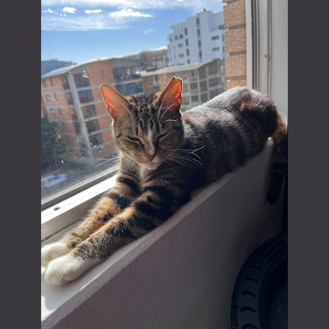 Photo of Lara
