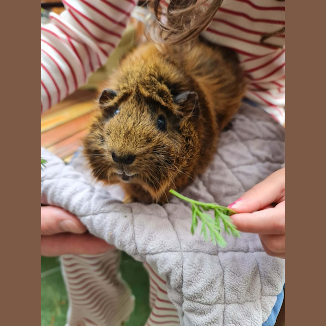 Photo of Rosie