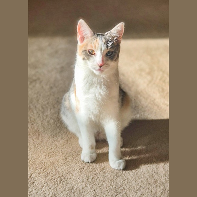 Photo of Cassidy / Cooper