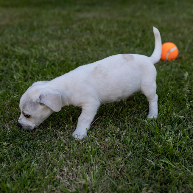 Photo of Cash